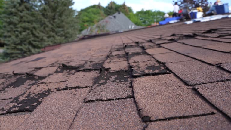 Fast & Reliable Emergency Roof Repairs in Milwaukee, WI